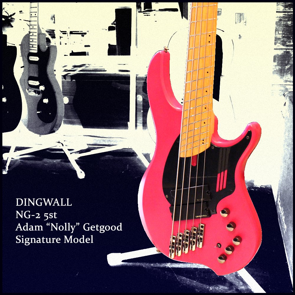 DINGWALL NG-2 5st Adam "Nolly" Getgood Signature Model ディングウォール ファンドフレット 5弦ベース アクティブ 美品 18029001